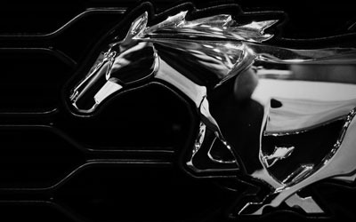 Ponies In The Smokies Event