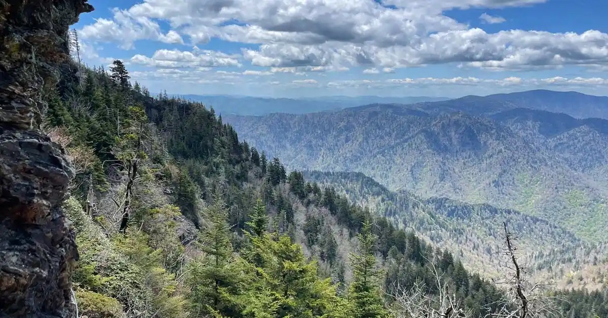 Thing To Do Hiking Trails