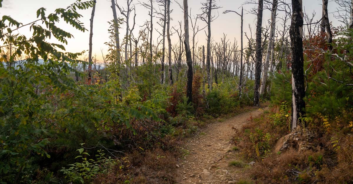 Things To Do Baskins Creek Trail