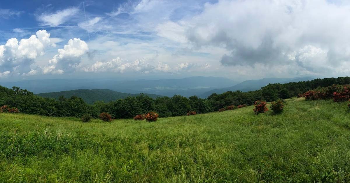 Things To Do Gregory Bald Trail