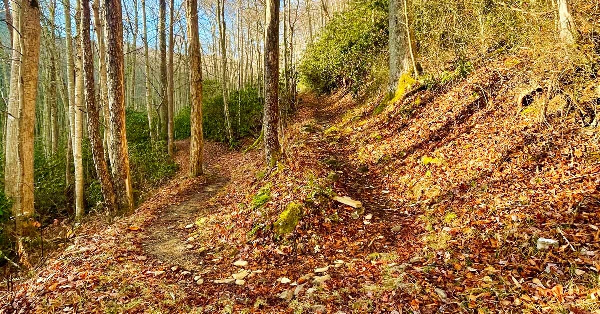 Things To Do Jakes Creek Trail