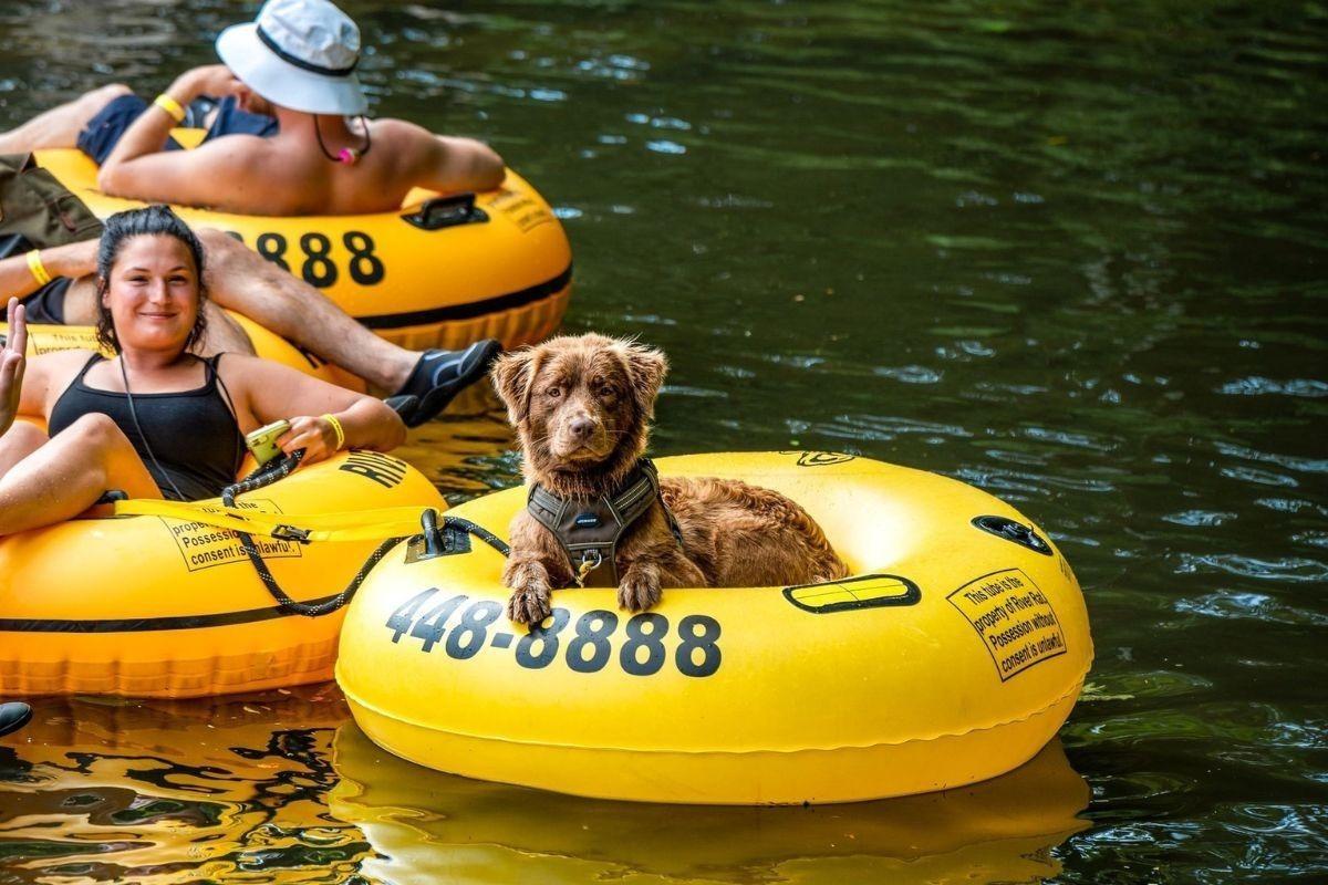 Labor Day Cabin Rentals