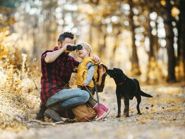 Pigeon Forge Pet-Friendly Rentals